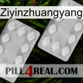 Ziyinzhuangyang 17